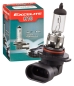 Preview: Excelite H10 Halogen Autolampe 12V 42W PY20d E13