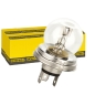 Preview: 10x BREHMA R2 Bilux Lampe 12V 45/40W P45t G40