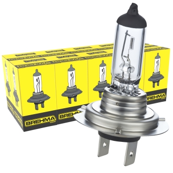 Ersatzlampenbox Sicherungen Lampenset H1 H4 H7 10-teilig für Auto