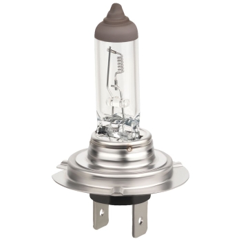 BREHMA Premium H7 24V 70W Halogen LKW Lampe